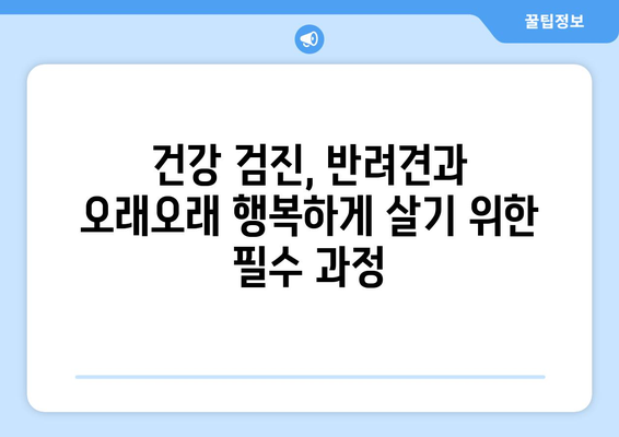 건강 검진으로 알아보는 반려견의 상태 체크