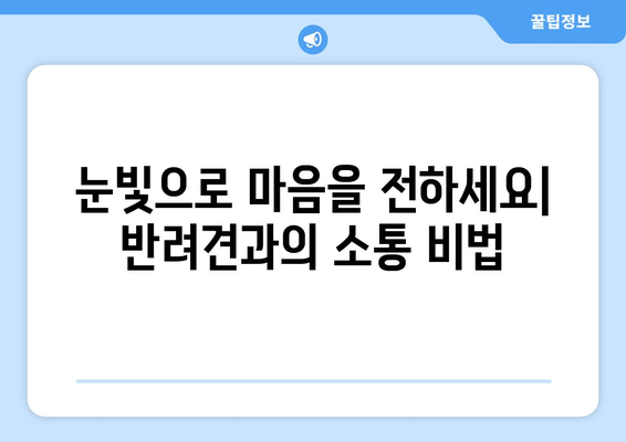 유대감을 높이는 반려견과의 소통 팁