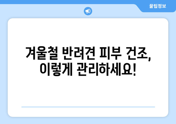 겨울철 피부 건조 예방을 위한 반려견 관리 팁