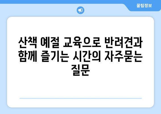 산책 예절 교육으로 반려견과 함께 즐기는 시간