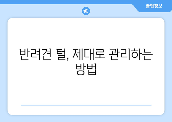 털 빠짐 문제 해결, 반려견 털 관리법