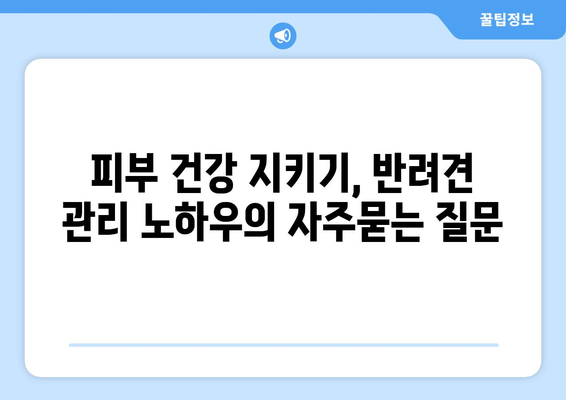 피부 건강 지키기, 반려견 관리 노하우