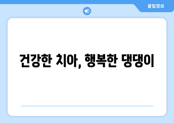 입 냄새 문제 해결, 반려견의 치아 관리 방법