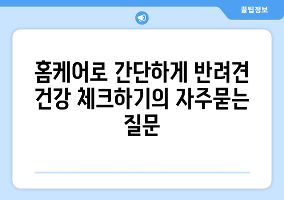 홈케어로 간단하게 반려견 건강 체크하기