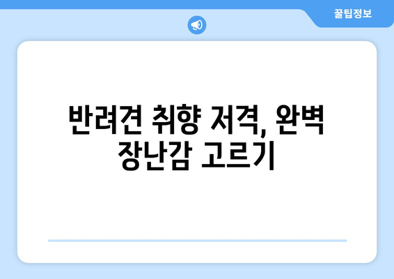 장난감 선택 시 고려할 반려견의 성격과 취향