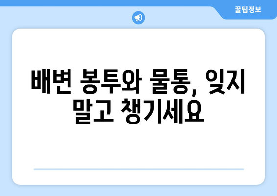 필수 아이템으로 안전한 반려견 산책 준비하기