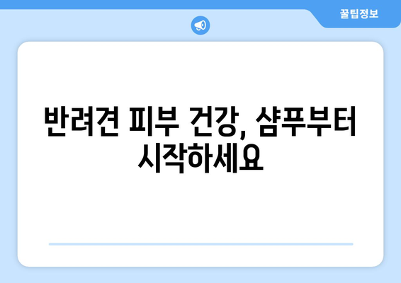 피부 건강 지키기, 반려견 관리 노하우