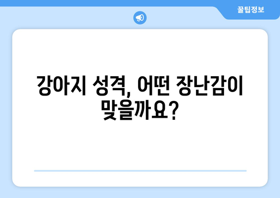 장난감 선택 시 고려할 반려견의 성격과 취향