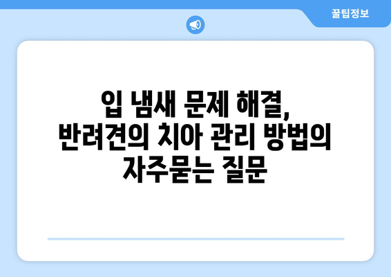 입 냄새 문제 해결, 반려견의 치아 관리 방법