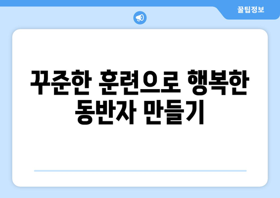 올바른 행동 교정으로 반려견 문제 해결하기