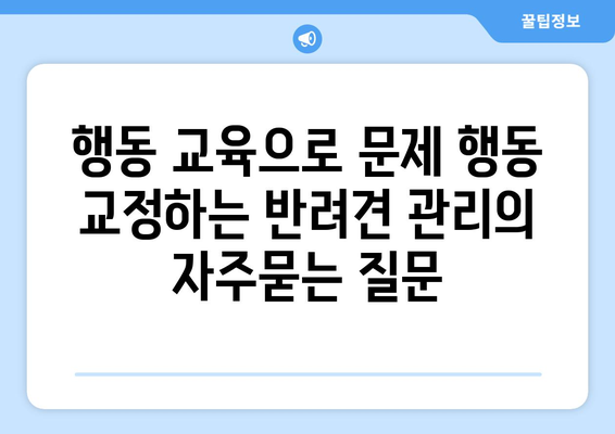 행동 교육으로 문제 행동 교정하는 반려견 관리