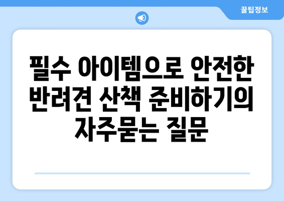 필수 아이템으로 안전한 반려견 산책 준비하기