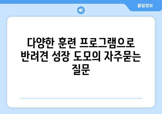 다양한 훈련 프로그램으로 반려견 성장 도모