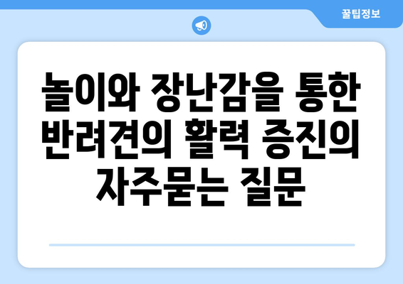 놀이와 장난감을 통한 반려견의 활력 증진