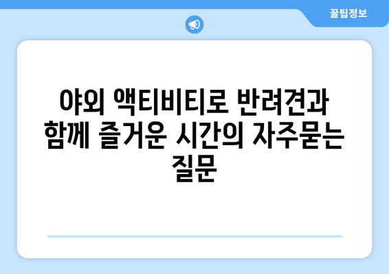 야외 액티비티로 반려견과 함께 즐거운 시간