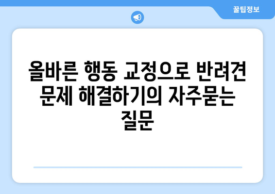 올바른 행동 교정으로 반려견 문제 해결하기