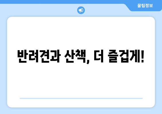 산책 습관 개선, 반려견과 함께하는 즐거운 시간