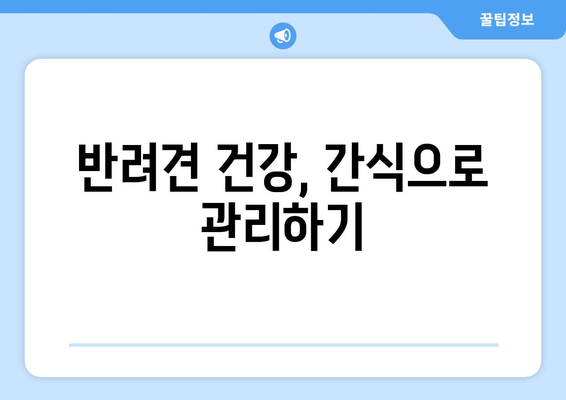 반려견을 위한 간식과 건강 관리 팁