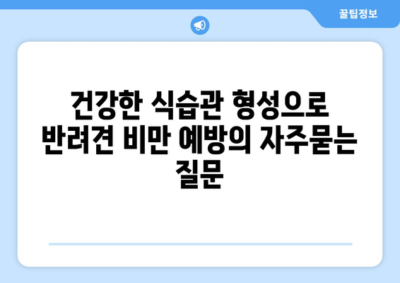 건강한 식습관 형성으로 반려견 비만 예방