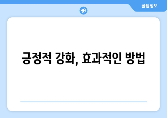 올바른 행동 교정으로 반려견 문제 해결하기