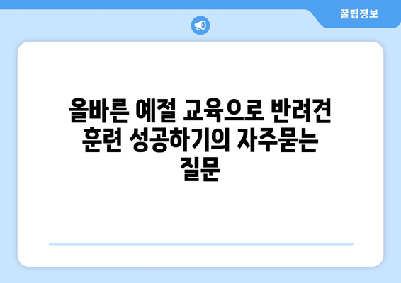 올바른 예절 교육으로 반려견 훈련 성공하기