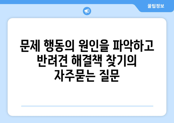 문제 행동의 원인을 파악하고 반려견 해결책 찾기