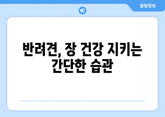 건강한 장을 위한 반려견의 관리 방법