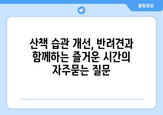 산책 습관 개선, 반려견과 함께하는 즐거운 시간