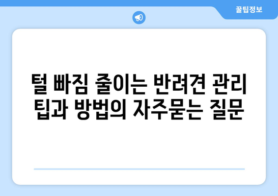 털 빠짐 줄이는 반려견 관리 팁과 방법