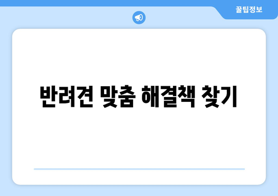 문제 행동의 원인을 파악하고 반려견 해결책 찾기