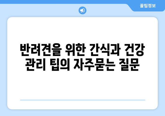 반려견을 위한 간식과 건강 관리 팁