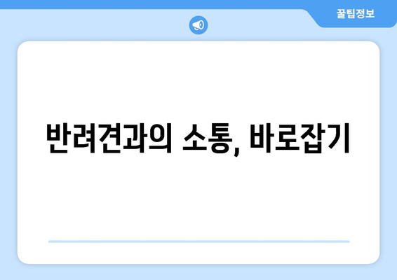 행동 교육으로 문제 행동 교정하는 반려견 관리