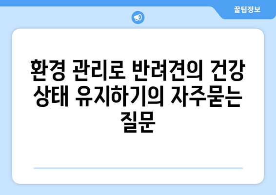 환경 관리로 반려견의 건강 상태 유지하기