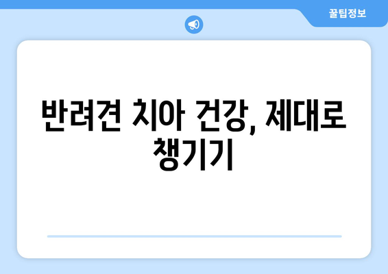 입 냄새 문제 해결, 반려견의 치아 관리 방법