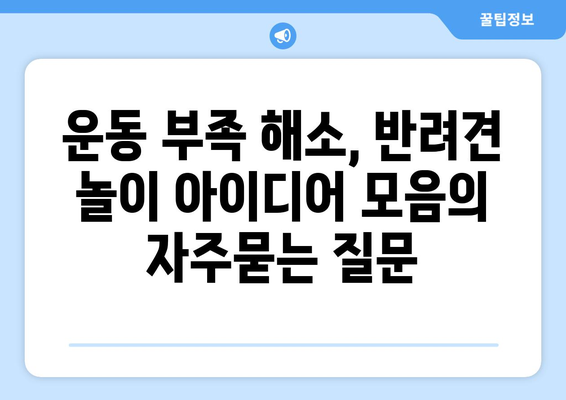 운동 부족 해소, 반려견 놀이 아이디어 모음