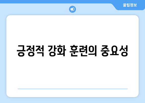 행동 교육으로 문제 행동 교정하는 반려견 관리